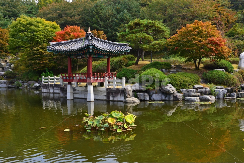 대전,국립대전현충원,현충원,현충지,연못,nature,자연,outdoors,옥외,leaf,잎,plant,식물,tree,나무,소풍,가을,계절,추색,추경,경치,경관,풍경,water,물,정자,현충지반영