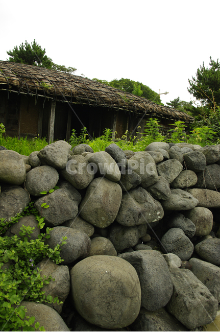 집,돌담집,넝쿨,돌,식물,제주도,jeju,jeju island,wall,벽