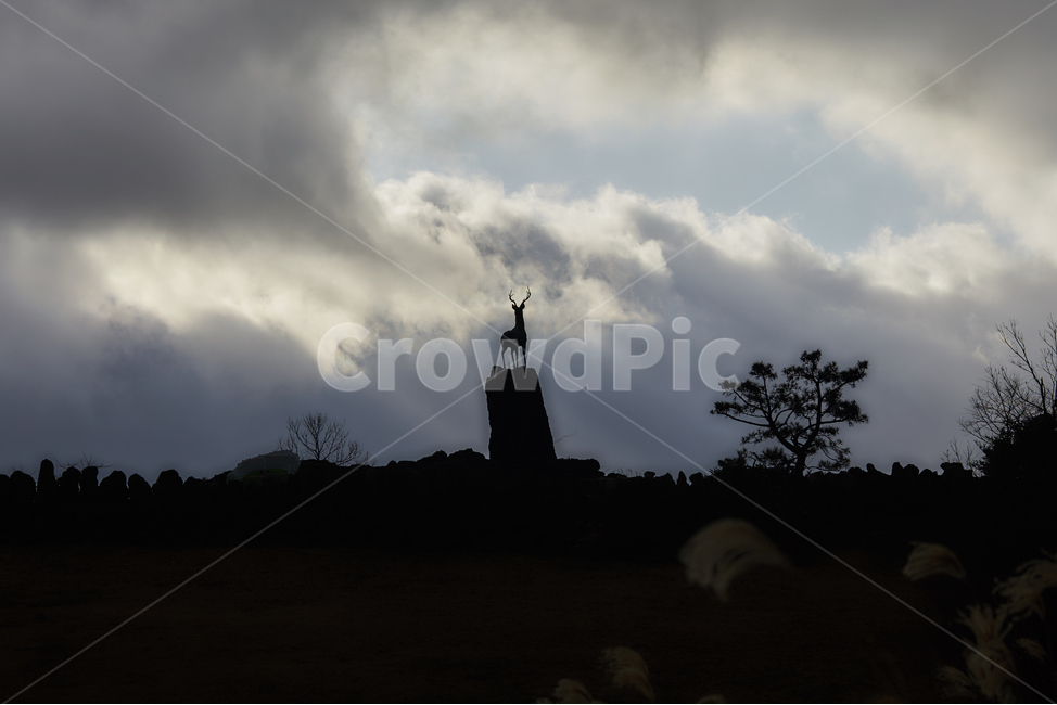 빛내림,하늘,풍경,배경,light,제주도,겨울,sky,빛,감성,분위기,nature,자연,weather,날씨,silhouette,실루엣,outdoors,옥외