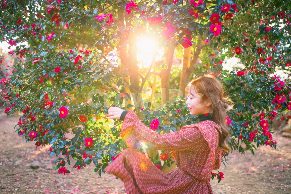 소녀,여자,자연,인물,스냅,스냅사진,감성,감성사진,들판,숲,제주,제주도,제주여행,여행,여행사진,분위기,혼자,나홀로,alone,girl,lady,nature,사람,women,travel,korea,jeju,flower,파스텔제주,pasteljeju,빨강,red,빨간색,겨울,동백,제주동백,동백꽃,동백군락지,햇살,식물,자연,plants,nature,꽃,flower,나무,trees,wood,사람,인물,인간,human,person,얼굴표정,facial expression,face,여성,여자,woman,female,lady,감정표현,기분,feeling,emotion,패션스타일,의상,fashion,style,감성,sensible,휴식,힐링,rest,relaxation,healing,연출,컨셉,콘셉,direction,concept
