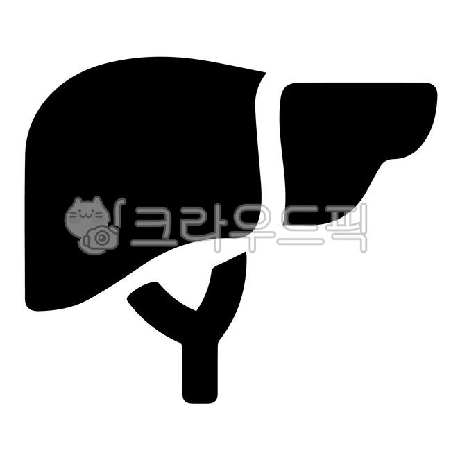 간,liver,간아이콘,간픽토그램,장기,인체장기,장기아이콘,장기그림,간그림