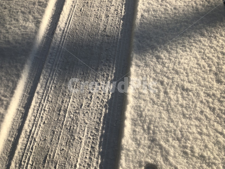 눈,겨울,snow,winter,차가움,추움,하얀색,겨울,계절,winter,season