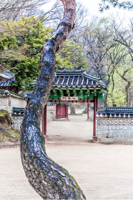 고궁,문화유산,비원,관광명소,문화재,한국전통,한국문화,korean traditional,korean culture,랜드마크,landmark,tourist attraction,한국랜드마크,한국관광지,한국명소,korea landmark,korea tourist attraction