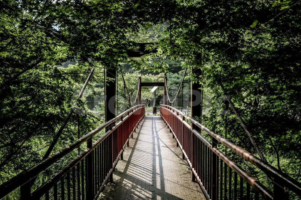 다리,자연,풍경,나무,사진,자연,풍경,nature,landscape,여름,계절,summer,season,railing,난간,banister,handrail