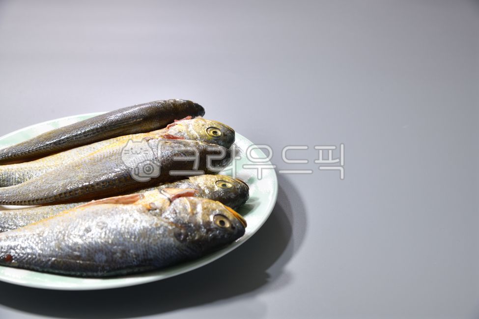 조기, 생조기, 참조기, 백조기, 생선, 사진,이미지,일러스트,캘리그라피 - 백봉작가