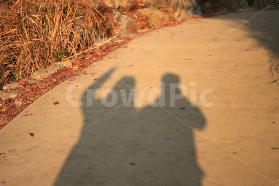 그림자,실루엣,커플,연인,가을,사랑,love,shadow,감성,사람,인물,인간,human,person,연인,커플,사랑,lover,couple,인물실루엣,사람실루엣,character silhouette,human silhouette