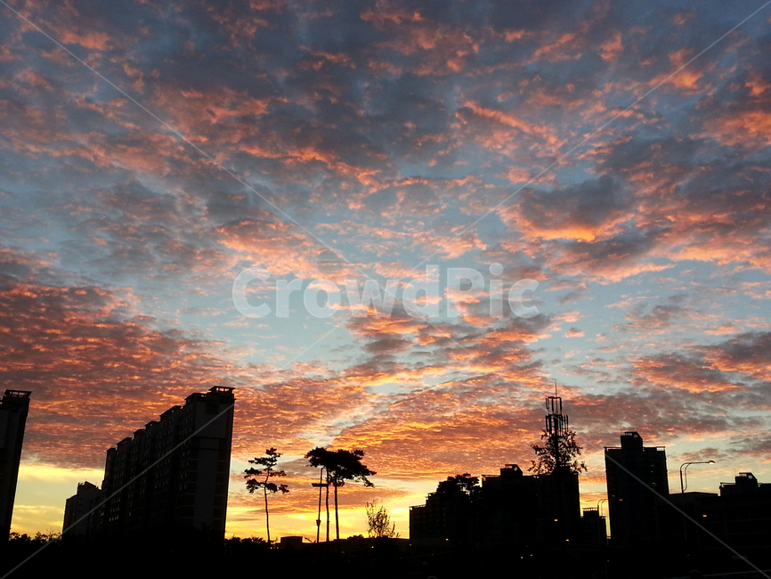 nature,자연,실루엣,황혼,sunset,일몰,붉은하늘,sky,하늘,도시노을,노을,해질녘,city,타오르는하늘,구름