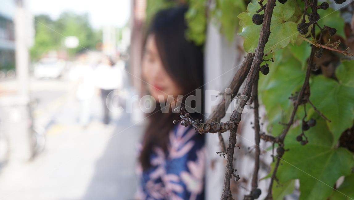 봄,여름,담쟁이,자연,생각,여행,여성,여자,인물,사람,인물,인간,human,person,여성,여자,woman,female,lady