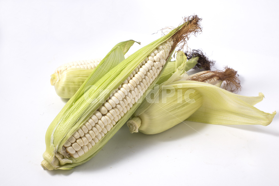 옥수수,식물,알맹이,노란색,찰옥수수,옥수수수염,콘,간식,팝콘,음식,식재료,요리,food,cook,meal,dishes,food reserves