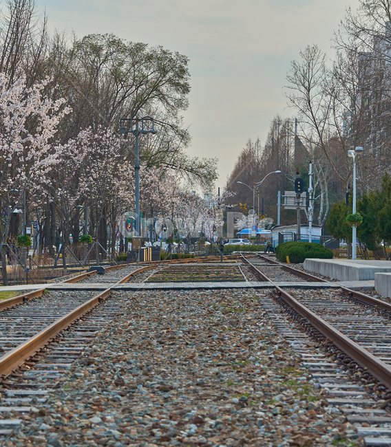 경춘선,철도공원,철도,기찻길,기차,교통,교통수단,traffic,railway,공원,산책로,풍경,landscape