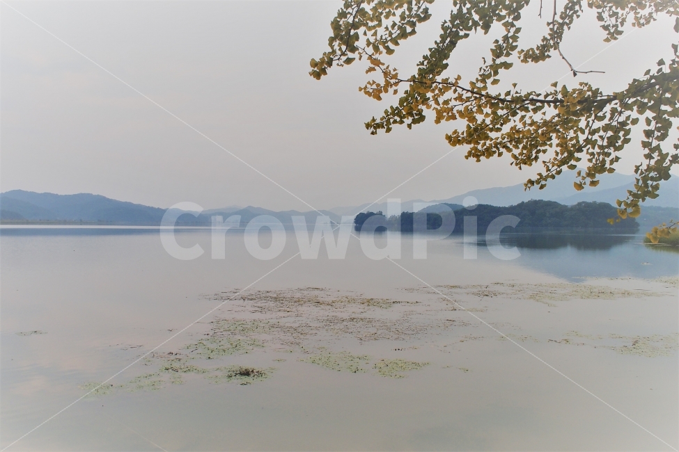 강,두물머리,호수,가을,river,감성,잔잔한,쓸쓸한,필름,자연,풍경,nature,landscape,한국자연풍경,한국자연경관,korea nature landscape,land,땅,outdoors,옥외,shoreline,해안선,water,물,sea,바다,ocean,대양