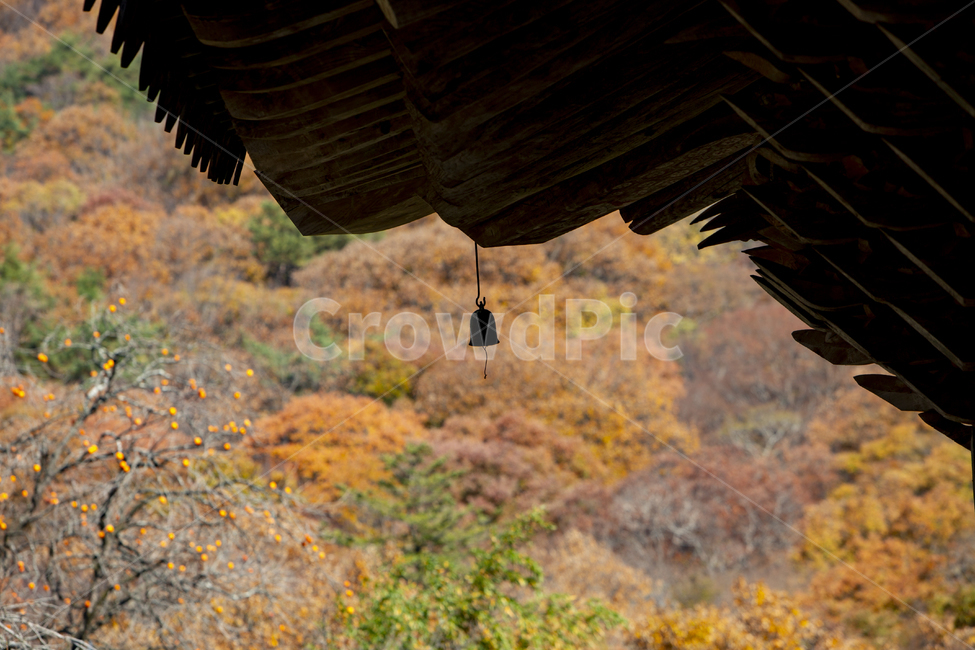 산,단풍,산사,절,종,매달린,소리,나무,석가래,지붕,건물,종교,신앙,religion,belief,faith