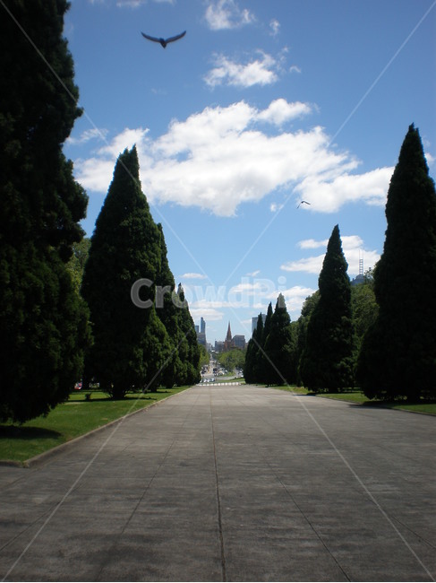 공원,보타닉가든,멜버른,botanicgarden,하늘,royalbotanicgardensmelbourne