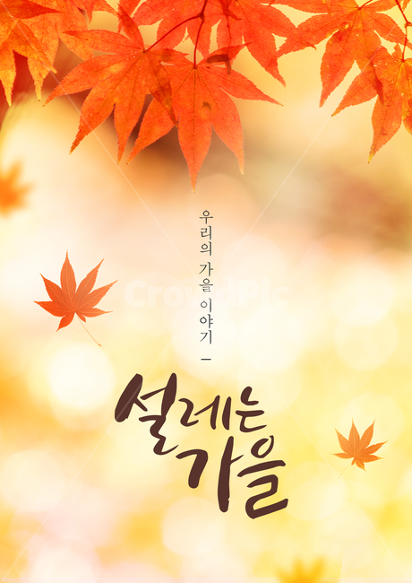 단풍,단풍잎,가을,감성,캘리,캘리그라피,손글씨,붓글씨,표지,브로슈어,전단지,카달로그,가을,계절,fall,autumn,season,캘리그라피,손글씨,calligraphy,leaf,잎,plant,식물,tree,나무,maple leaf,maple