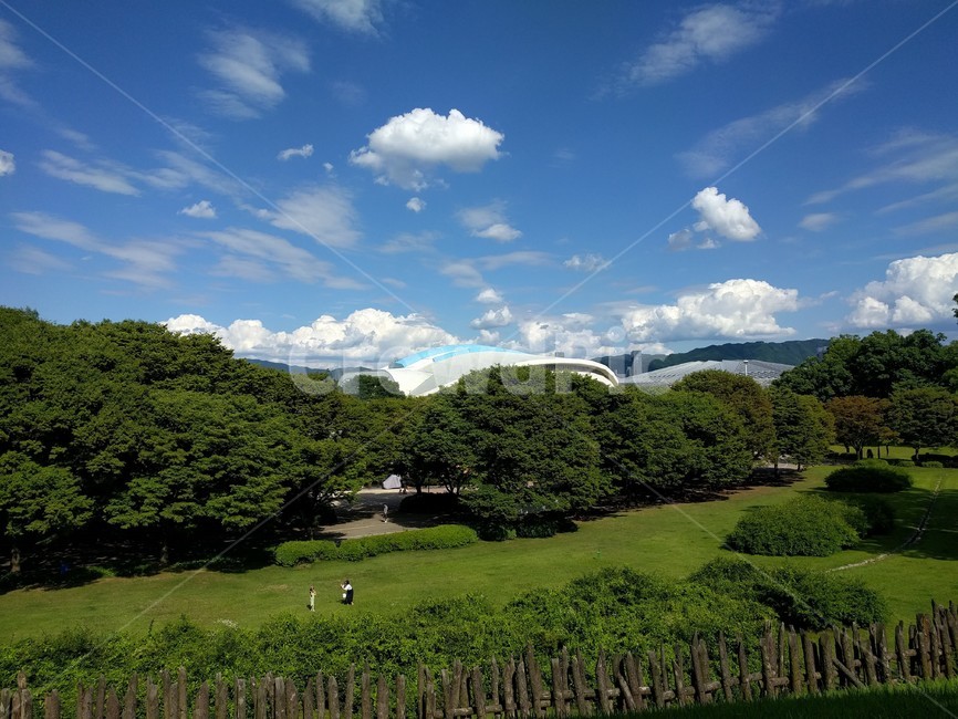 Olympic Park,Field,forest,picnic,sunny,Sunny,olympicpark