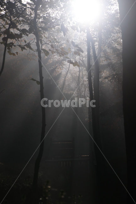 light,날씨,nature,빛,weather,자연,자연,풍경,nature,landscape