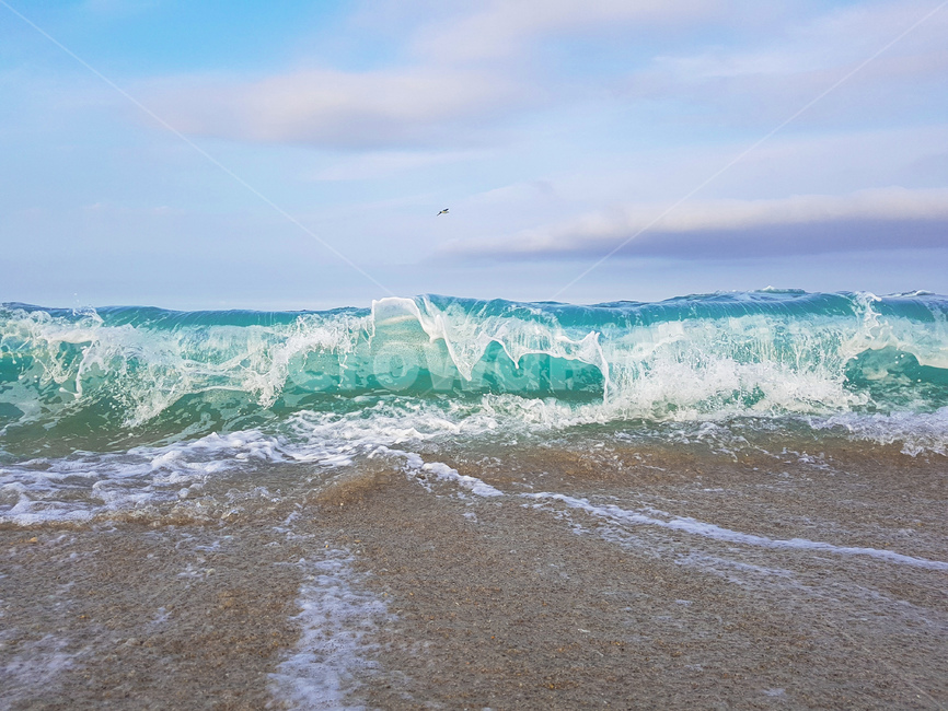 동해,바다,해안,에메랄드,여름,휴가,여름휴가,속초,파도,갈매기,자연,물,sea,ocean