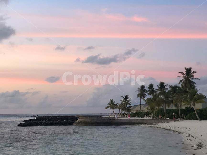 몰디브,maldives,트로피컬,tropical,휴양지,섬,island,하늘,일몰,노을,sunset,colorful,sky,구름,cloud,자연,nature,바다,sea,로맨틱,romantic,outdoors,에메랄드색,초록바다,ocean,대양,water,물,해안선,coast,연안,tree,나무,야자수,outdoor,옥외,pink,핑크색,트로피칼