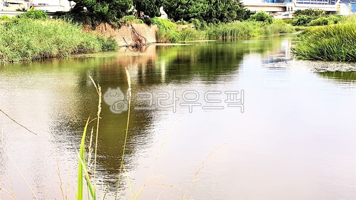 Water quality management,ecological restoration,nature,water management,ecological forest,water purification,ecologicalrestoration,environmental restoration,water