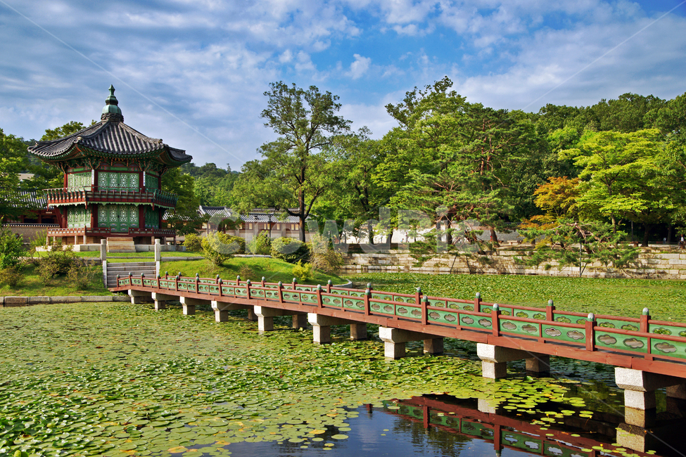 향원정,경복궁,향원지,연못,보물제1761호,취향교,고건축,고종,다리,수련