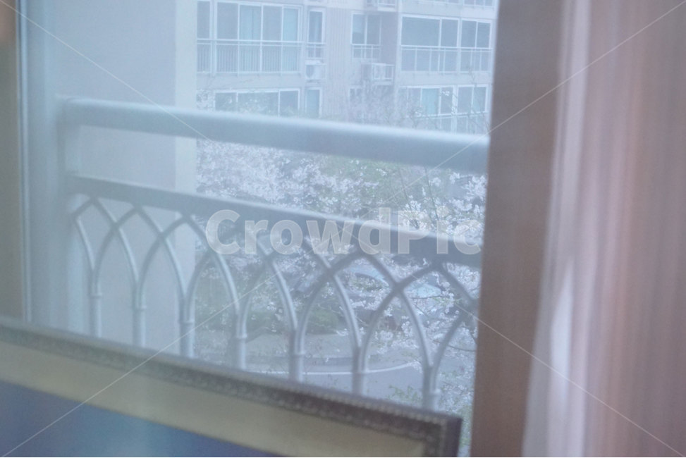 벚꽃,봄,이른아침,새벽,감성,분위기,방,창문,감성,sensible,feeling,인테리어,실내디자인,interior design
