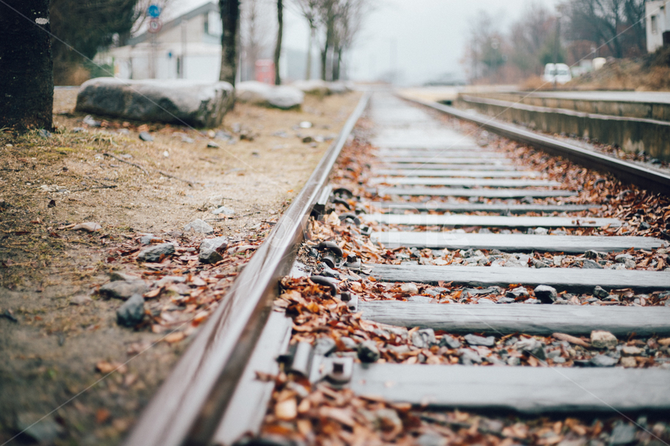 철로,가을,낙엽,기찻길,레일,철도,rail,railway,fall,leaves,쓸쓸함,가을,계절,fall,autumn,season,교통,교통수단,traffic,transportation