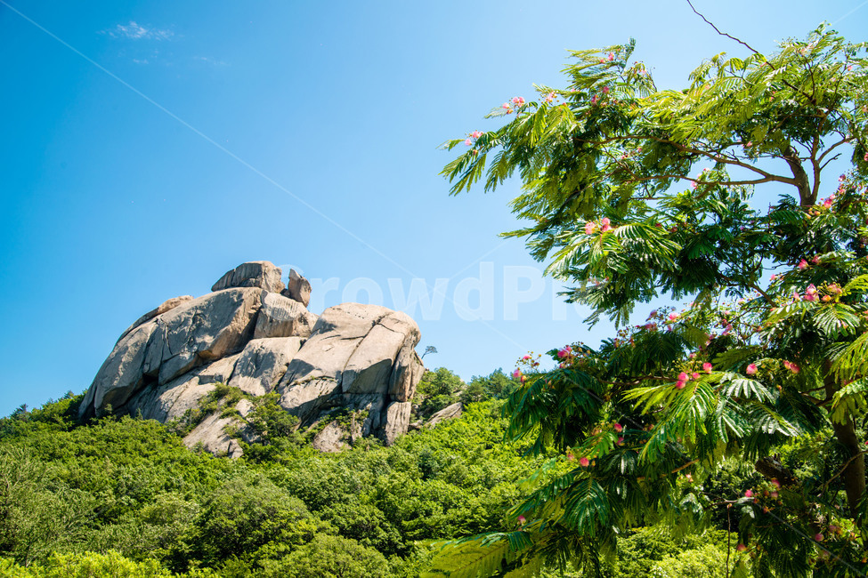 바위,산,나무,하늘,풍경,자연,풍경,nature,landscape,outdoors,옥외