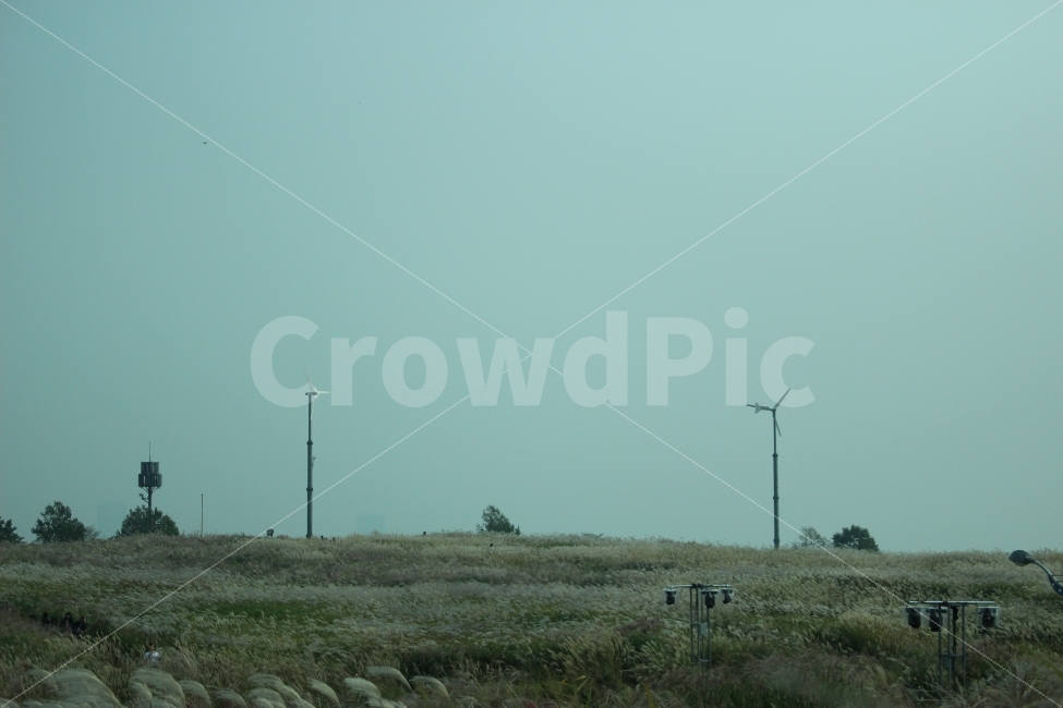 공원,자연,휴식,힐링,하늘공원,하늘,갈대,자연,풍경,nature,landscape,engine,엔진,motor,모터,machine,기계