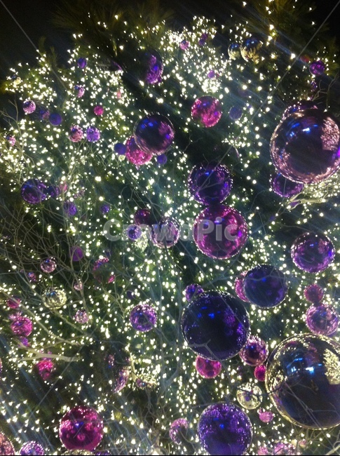 tree,나무,크리스마스트리,christmastree,크리스마스,christmas