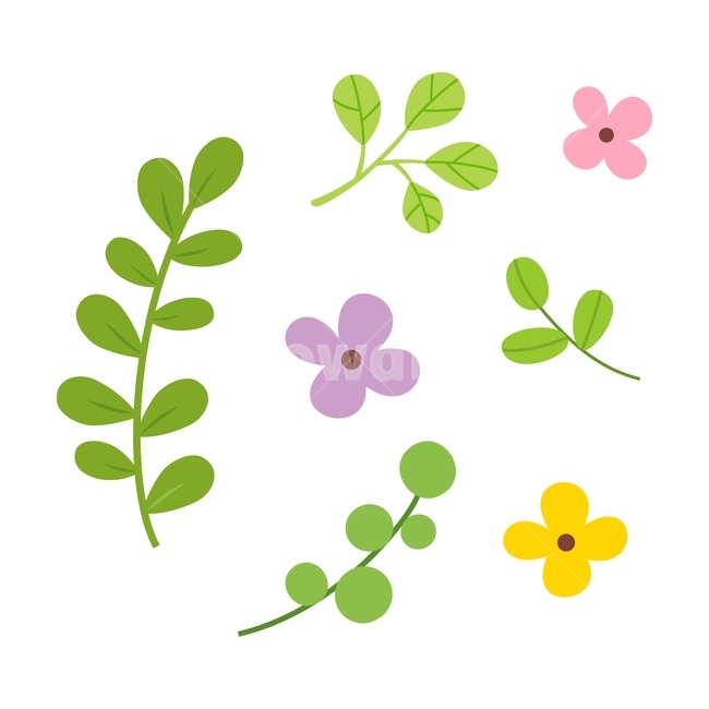 꽃,잎,자연,식물,봄,여름,장식,귀여운,일러스트,디자인,spring,plant,flower,leaf,decoration,illustration,vector,design,그래픽,일러스트레이션,graphic,illustration