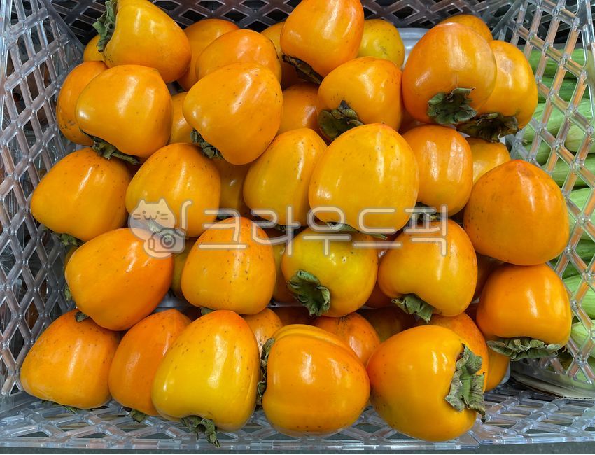 감,대봉감,그룹,클로즈업,food,음식,fruit,과일,노란