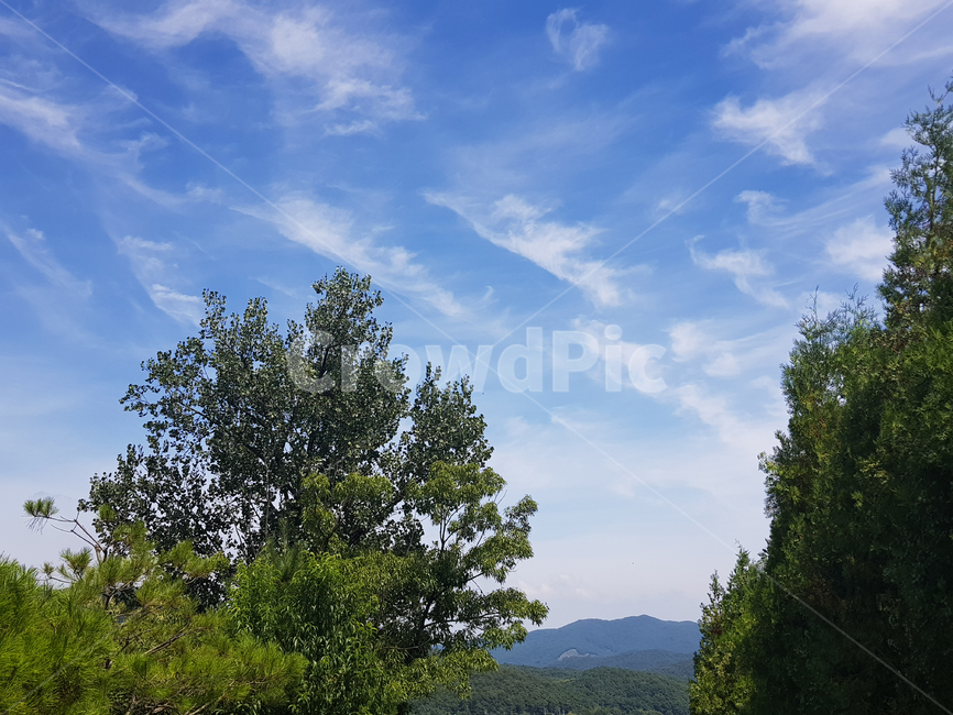 하늘,파랑색,구름,sky,cloud,분위기,푸른