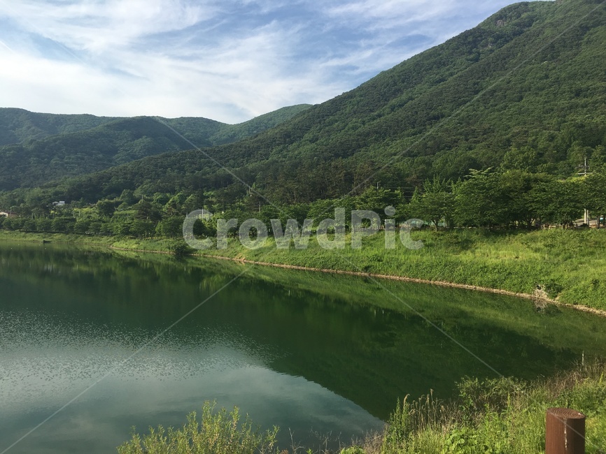 공원,숲,자연,공기,맑음,환경,자연,풍경,nature,landscape,outdoors,옥외,water,물