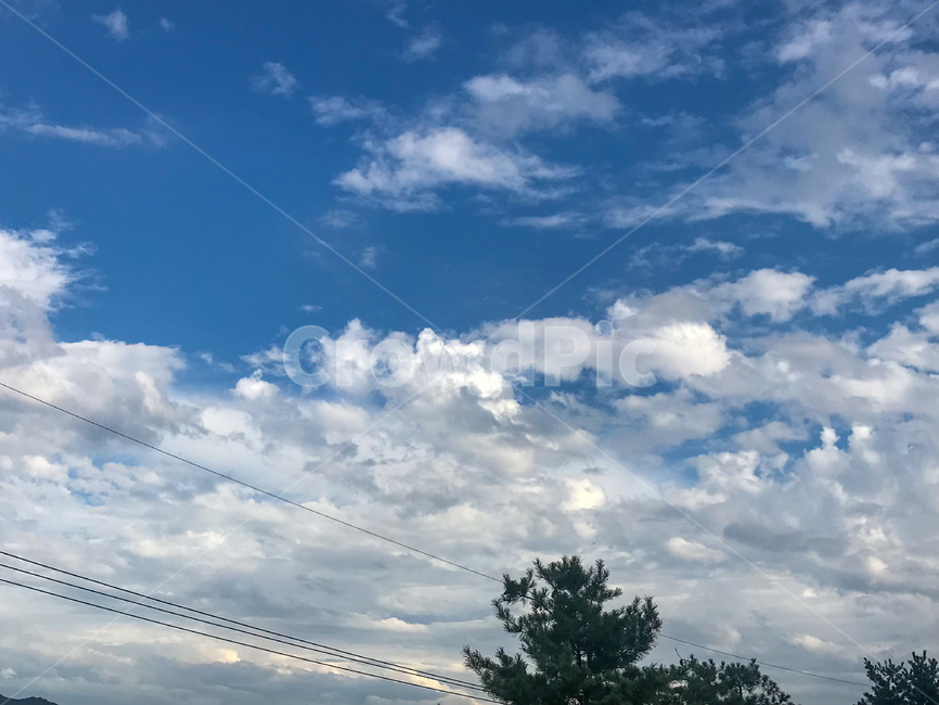 하늘,구름,파란,파란하늘,푸른,뭉게구름,sky,맑은,맑은날