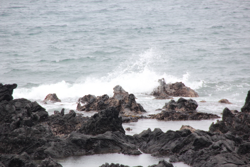 ocean,대양,sea,바다,water,물,outdoors,옥외,nature,자연,promontory,곶,파도,돌,현무암,제주,제주도,서귀포