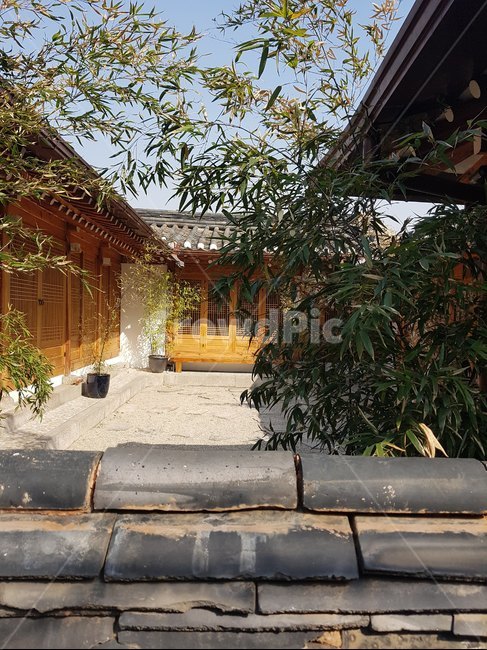 한옥마을,익선동,전통가옥,기와집,기와,엿보기,서울,정원,마당,koreanstylehouse,traditional,rooftile,IkseondongHanokmaul,Hanok,한국전통,한국문화,korean traditional,korean culture,건축물,건물외관,exterior,building,structure,architecture,construction