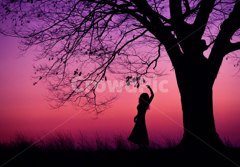 silhouette,일몰,실루엣,사랑나무,나무,sunset,휴식,벤치,bench,plant,tree,여성,여자,woman,female,lady,인물실루엣,사람실루엣,character silhouette,human silhouette