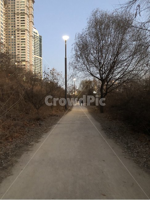 서울,한강공원,여의도,한강,공원,여의도한강공원,sky,park,evening,sunset,hangangpark,자연,풍경,nature,landscape,사람,인물,인간,human,person,여성,여자,woman,female,lady,road,도로,path,통로