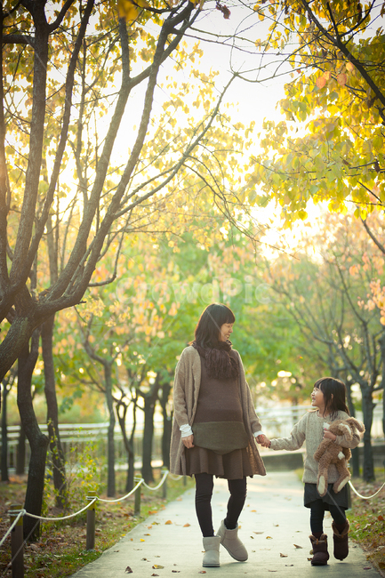 마주보기,산책,공원,노을,바라보기,가을,단풍,아이,엄마,미소,행복,스마일,소통,공감,가족,임산부,딸,여자아이,성인,가을,계절,fall,autumn,season,사람,인물,인간,human,person,가족,패밀리,family,coat,코트,tree,나무,plant,식물