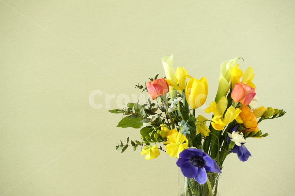 꽃다발,꽃꽂이,봄꽃,노란꽃,분홍꽃,꽃,flower,실내용화초,화분,화초,house plant
