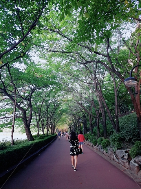 산책로,뒷모습,공원,산책,여름,사람,인물,인간,human,person,여성,여자,woman,female,lady