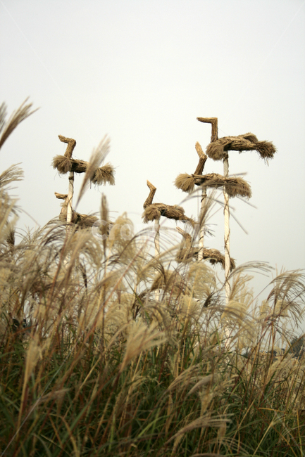 솟대,짚,새,하늘,억새,가을,계절,fall,autumn,season,자연,풍경,nature,landscape,grass,잔디,plant,식물,lawn,reed,갈대,bird,animal,동물