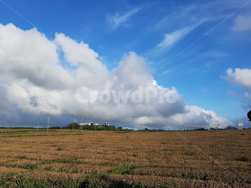 제주도,하늘,구름,하늘색,녹차밭,바람,오후,자연,날씨,적운,nature,weather,outdoors,cumulus,cloud,sky