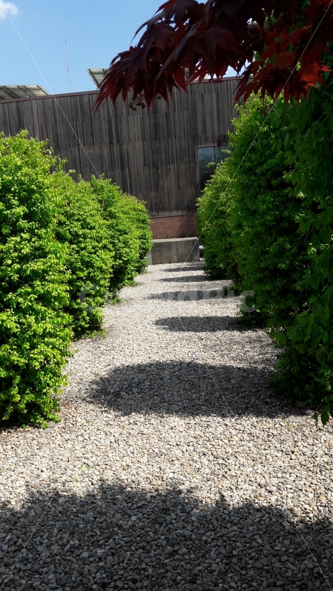 초록,시원함,더위,그늘,여름,식물,자연,plants,nature