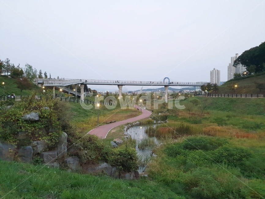 호수공원,운정호수공원,공원,산책로,호수,자연,풍경,nature,landscape