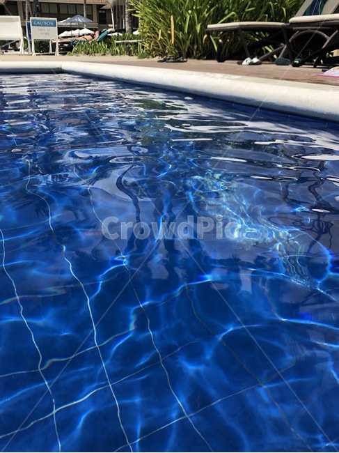 pool,풀,water,물,swimmingpool,수영장,여름