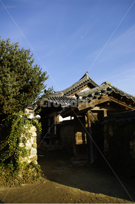 나무,돌담,가옥,한옥,대문,한국전통,한국문화,korean traditional,korean culture,건축물,건물외관,exterior,building,structure,architecture,construction