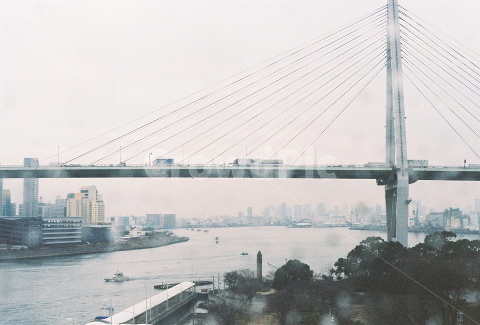 비,다리,도시,강,전경,풍경