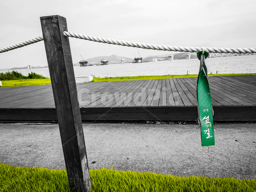 흑백,흑백사진,포인트컬러,그린,초록,섭길,풍경,거리풍경,bnw,pointcolor,green,landscape,streetscape