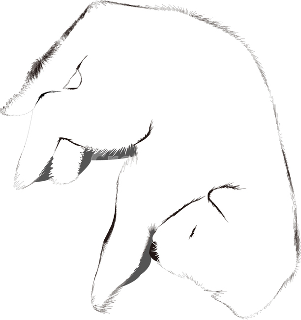 백구,진돗개,새끼강아지,토종개,한국개,하얀강아지,귀여운,잠자는,멍멍이,강아지,개,강아지,dog,doggy,그래픽,일러스트레이션,graphic,illustration